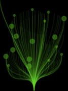 Hình ảnh thu nhỏ