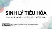 Hình ảnh thu nhỏ