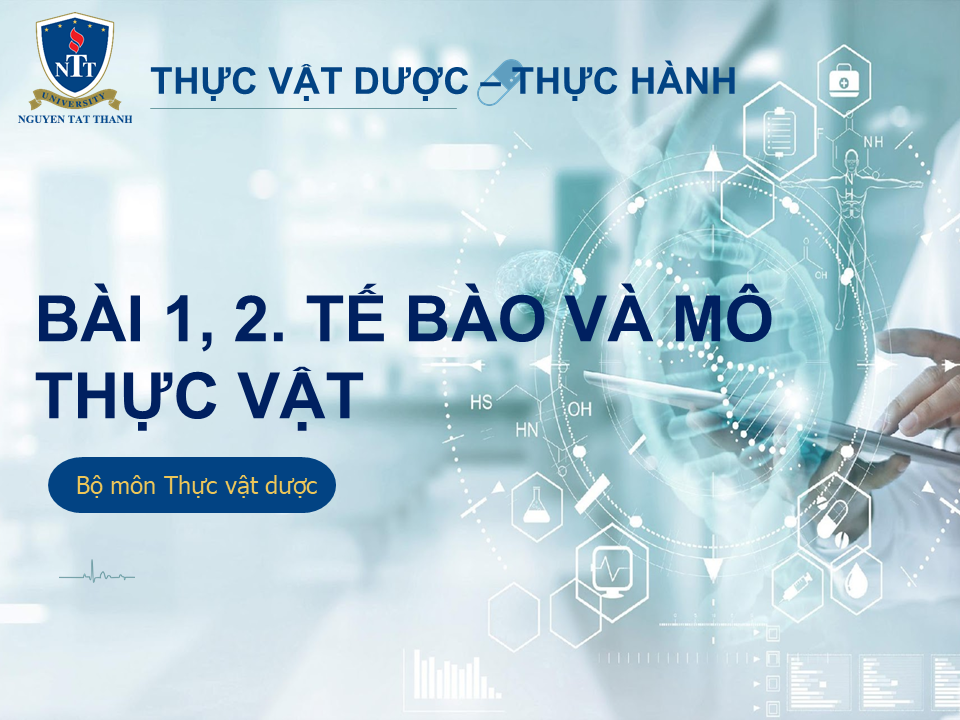 Hình ảnh thu nhỏ